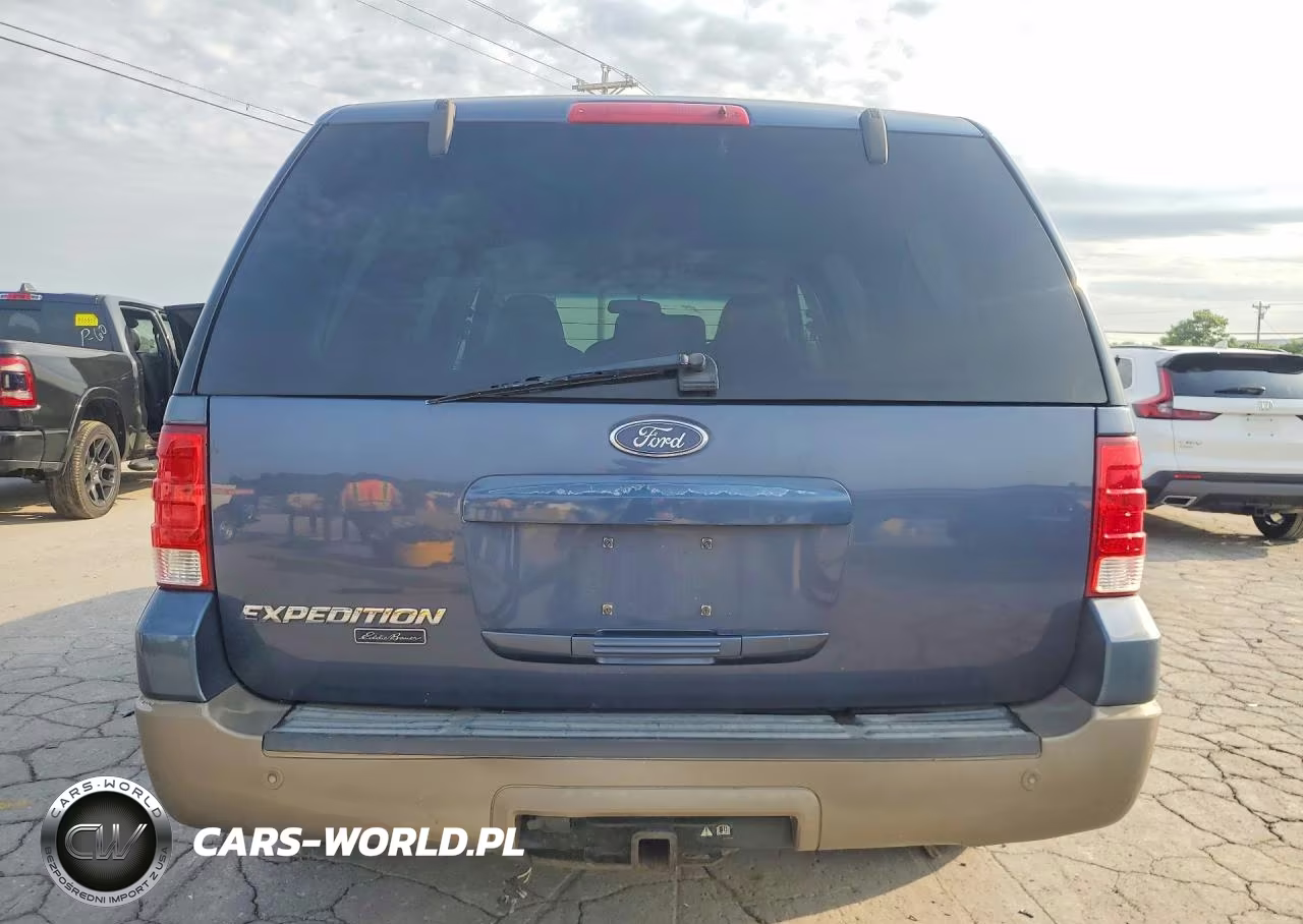 2003 Ford Expedition Eddie Bauer VIN:1FMFU17L63LB06701 - 6