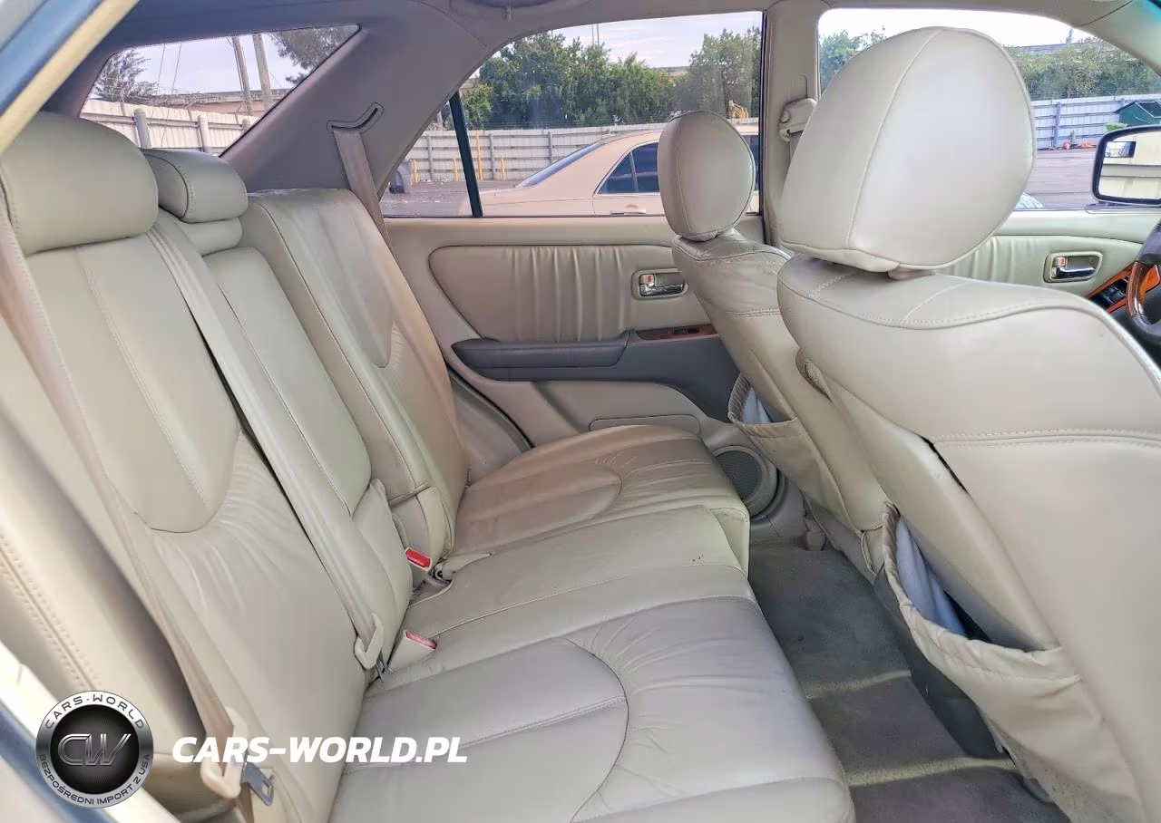 2003 Lexus Rx 300 VIN:JTJHF10U930312958 - 10