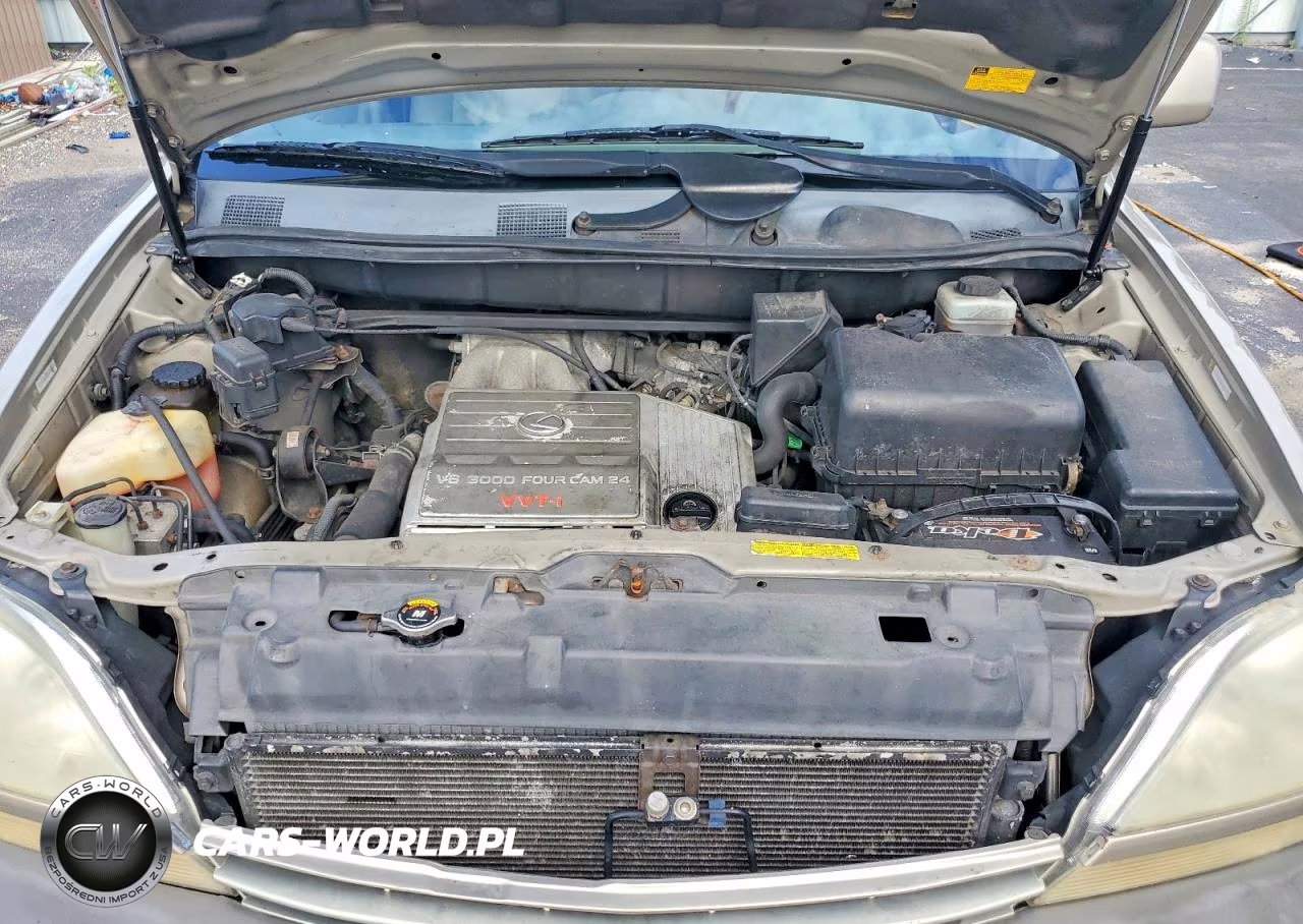 2003 Lexus Rx 300 VIN:JTJHF10U930312958 - 11