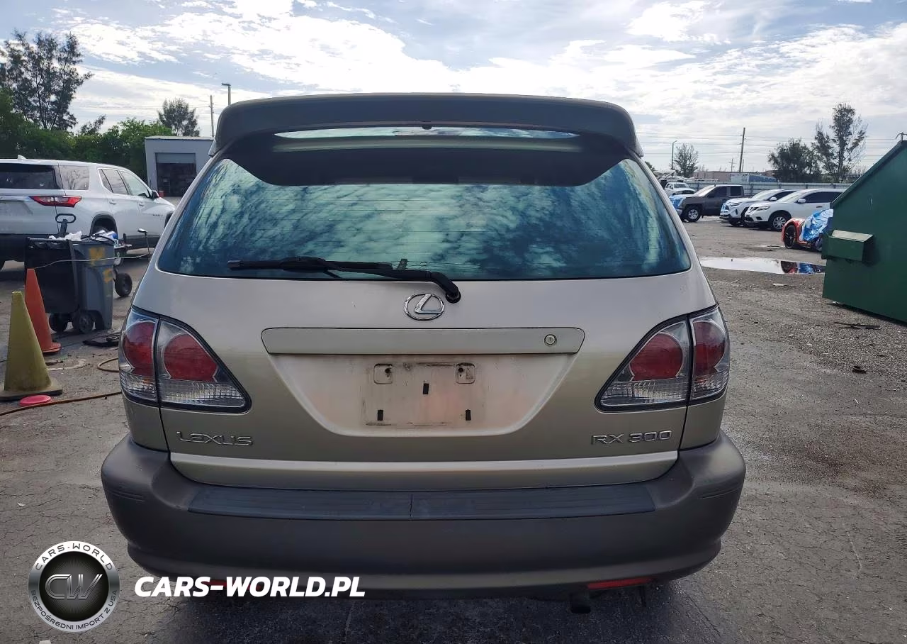 2003 Lexus Rx 300 VIN:JTJHF10U930312958 - 6