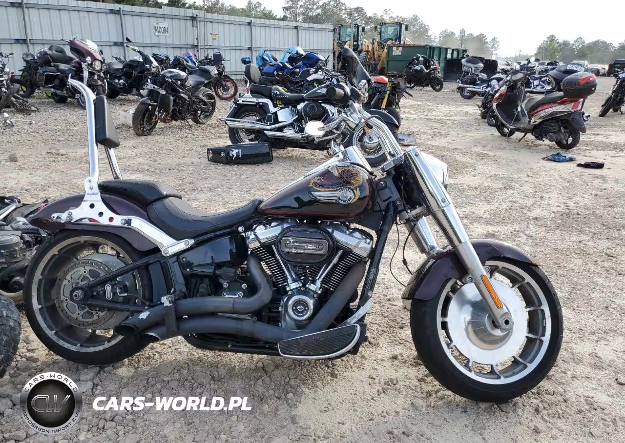 2022 Harley-Davidson Flfbs
