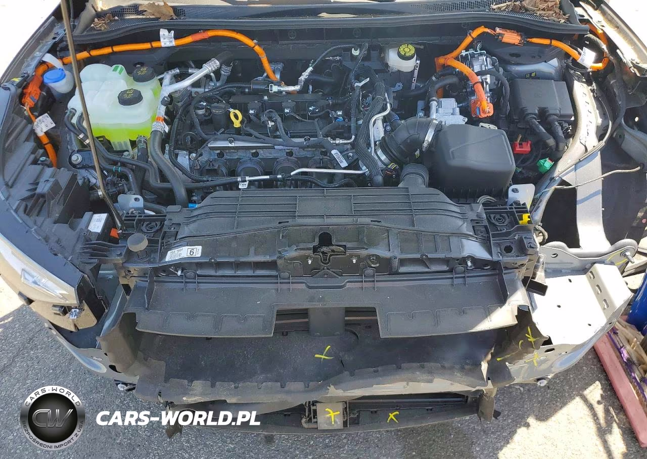 2025 Ford Escape VIN:1FMCU0E17SUA55264 - 12