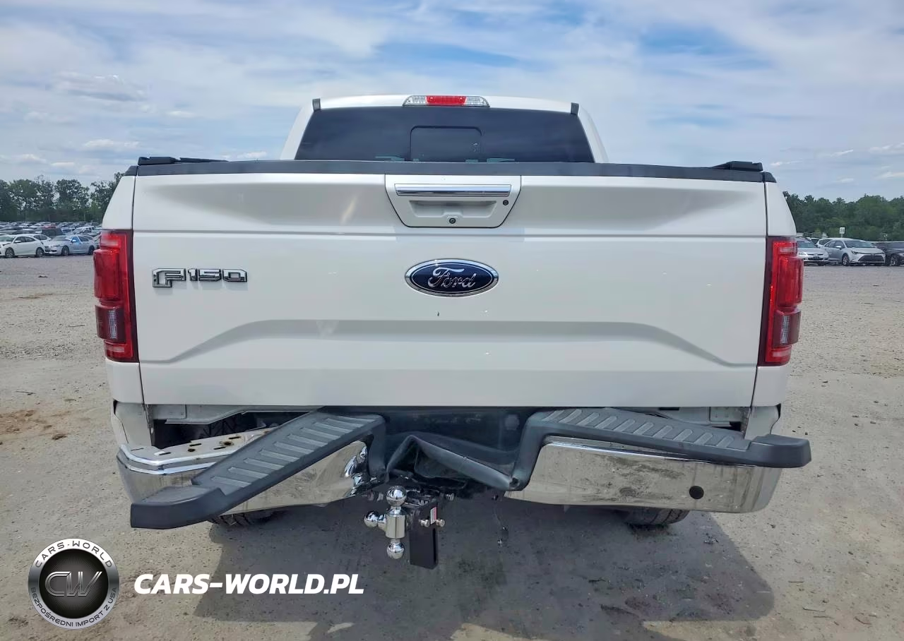 2017 Ford F150 Supercrew VIN:1FTEW1EGXHFA39624 - 6