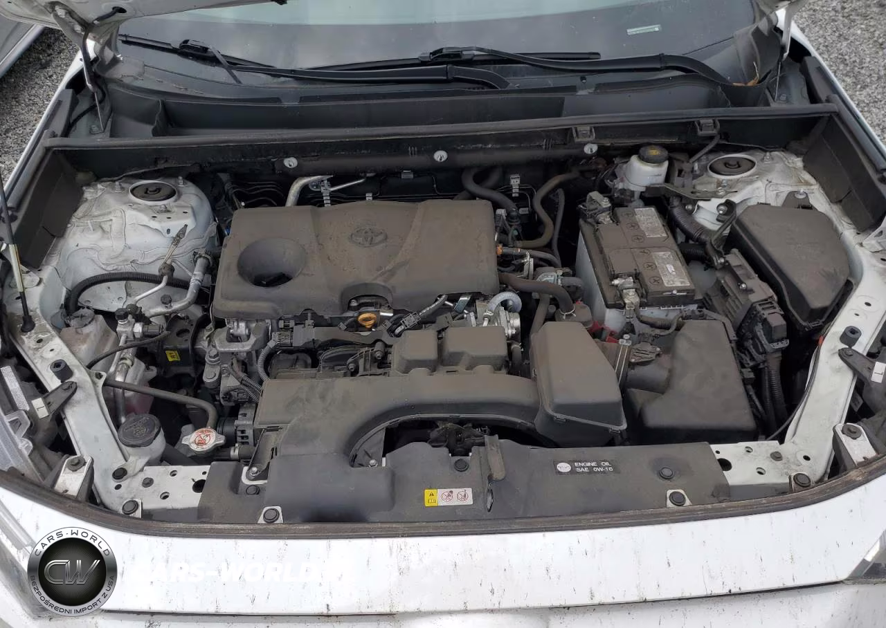 2023 Toyota Rav4 Xle VIN:2T3W1RFV0PC240302 - 11
