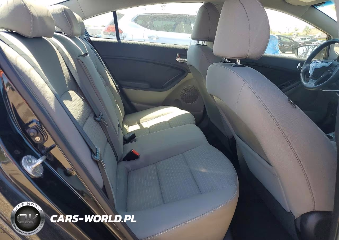 2015 Kia Forte Lx VIN:KNAFX4A61F5428023 - 10