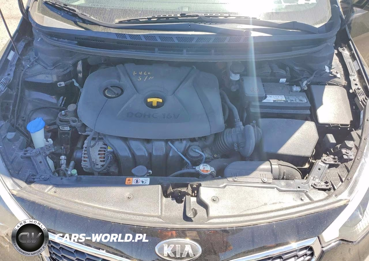 2015 Kia Forte Lx VIN:KNAFX4A61F5428023 - 11