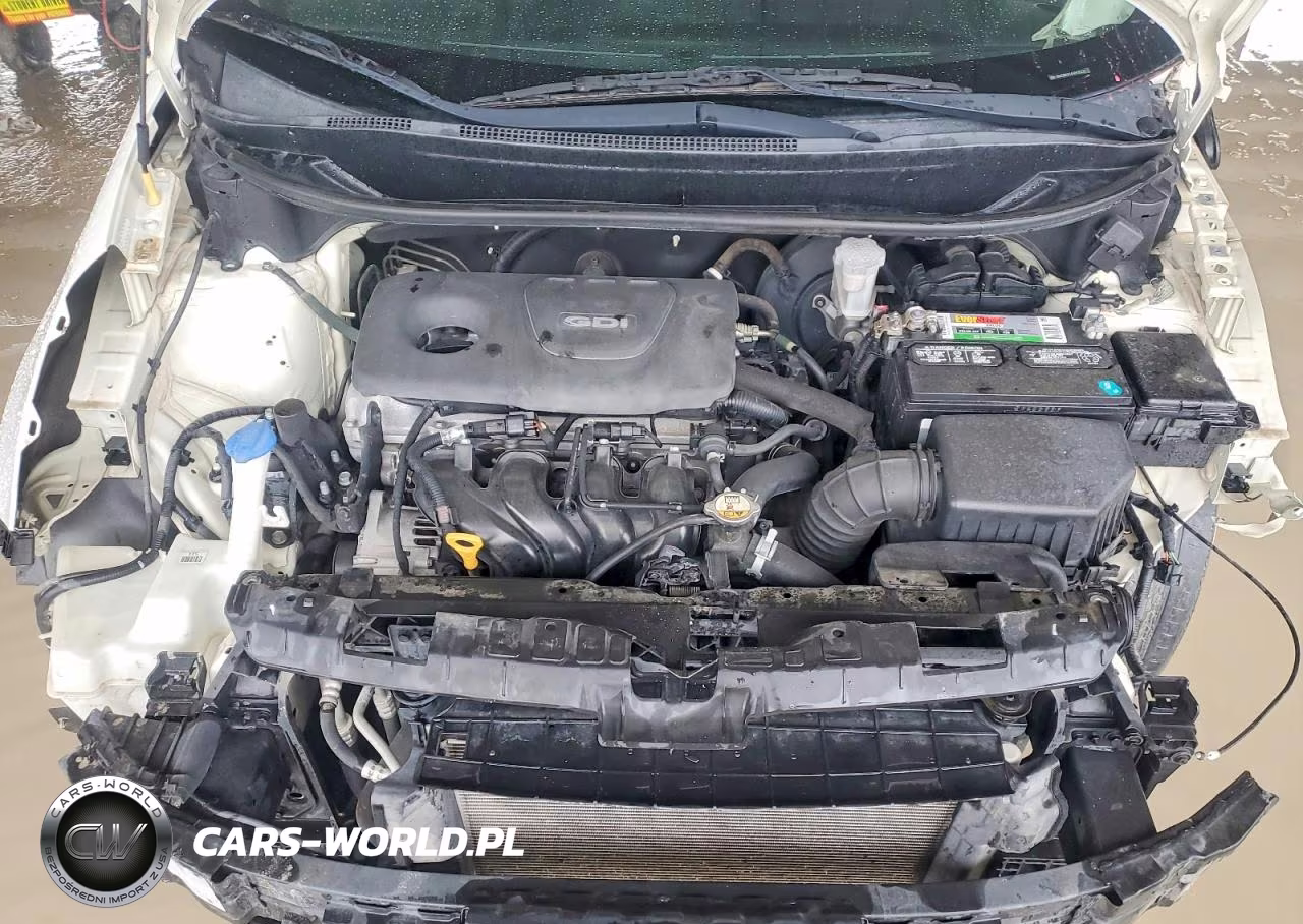 2016 Kia Rio Lx VIN:KNADM4A34G6638231 - 12