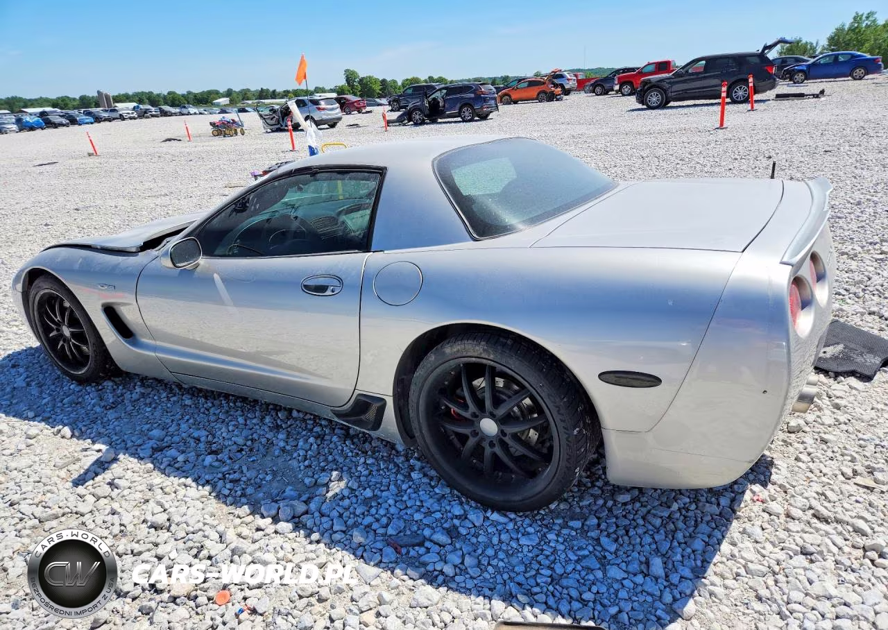2004 Chevrolet Corvette Z06 VIN:1G1YY12S945101393 - 2