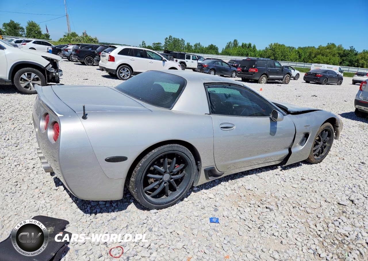 2004 Chevrolet Corvette Z06 VIN:1G1YY12S945101393 - 3