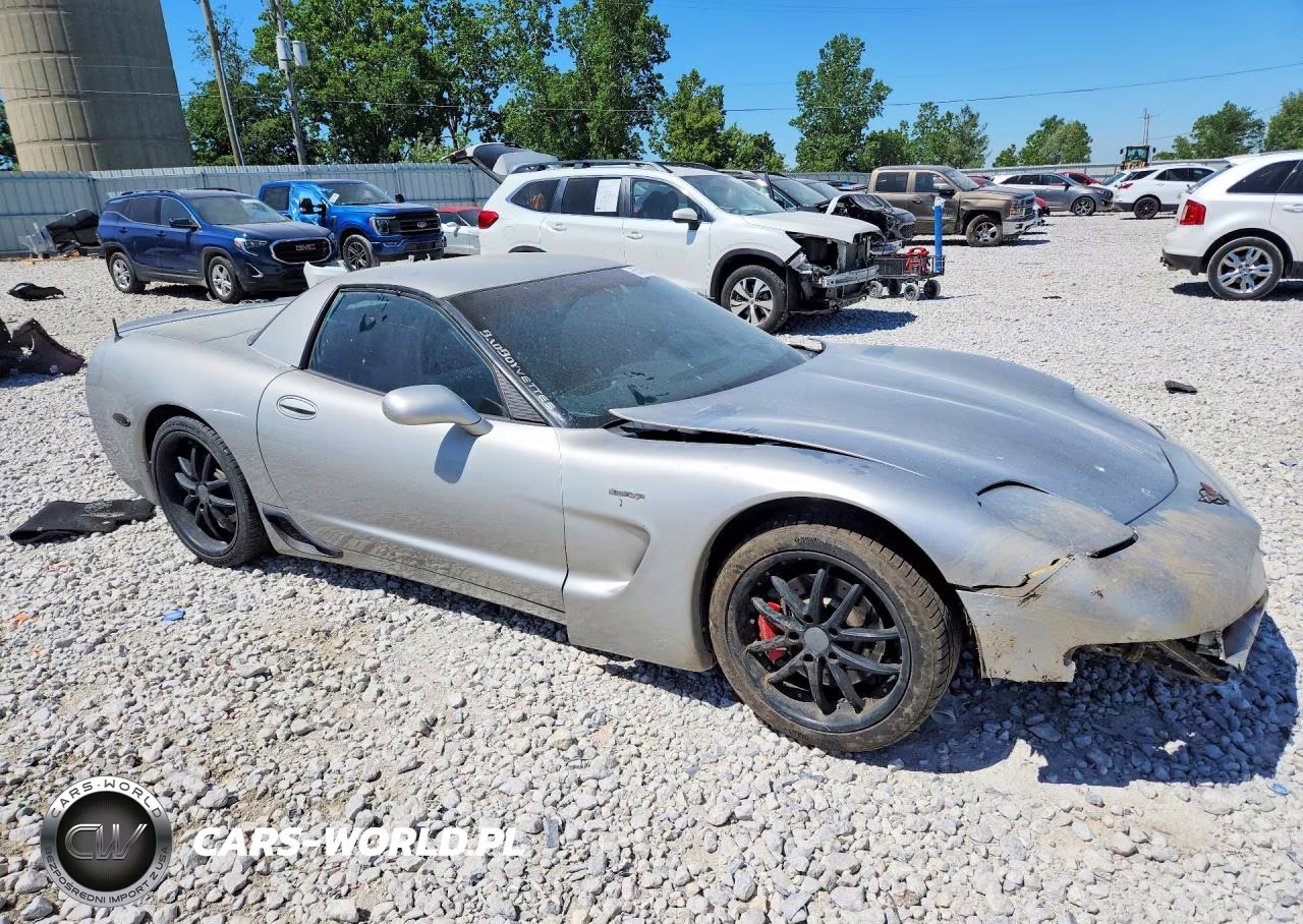 2004 Chevrolet Corvette Z06 VIN:1G1YY12S945101393 - 4