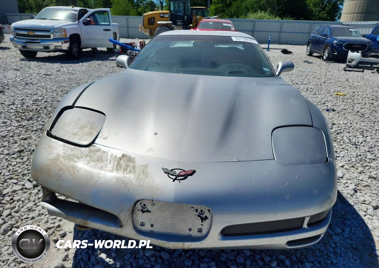 2004 Chevrolet Corvette Z06 VIN:1G1YY12S945101393 - 5