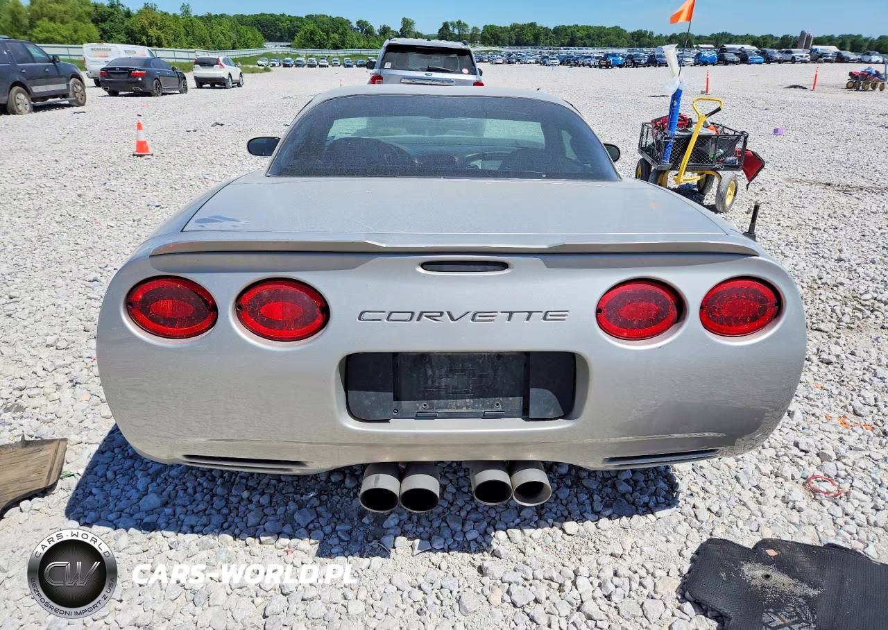 2004 Chevrolet Corvette Z06 VIN:1G1YY12S945101393 - 6