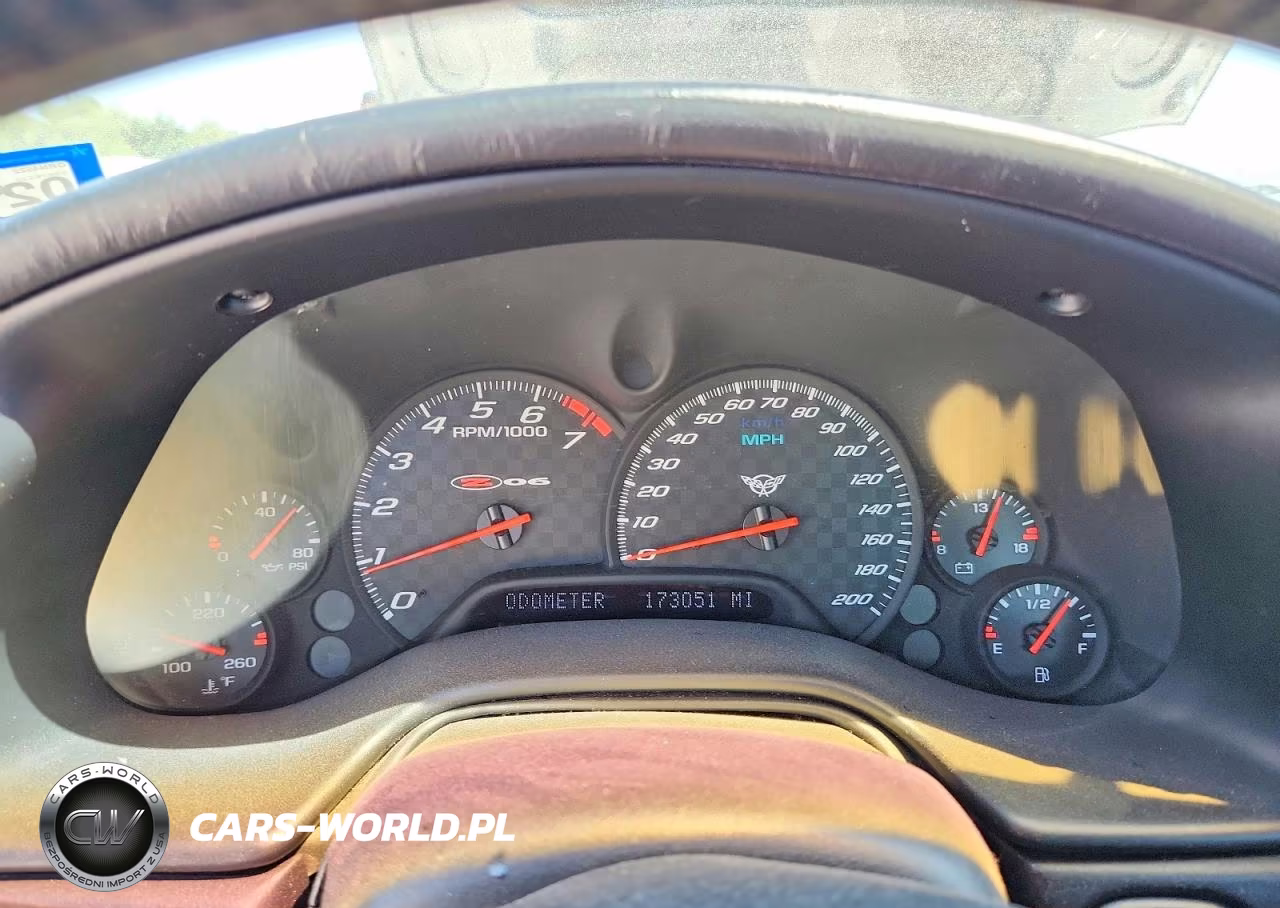 2004 Chevrolet Corvette Z06 VIN:1G1YY12S945101393 - 9