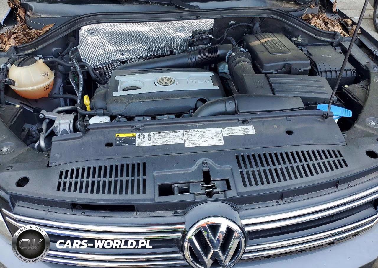 2016 Volkswagen Tiguan S VIN:WVGAV7AX1GW602189 - 11