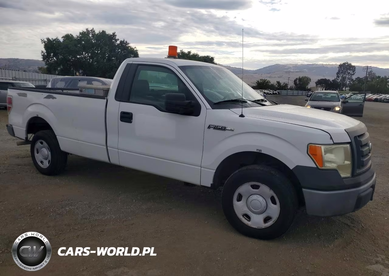2009 Ford F150 VIN:1FTRF12WX9KA23798 - 4