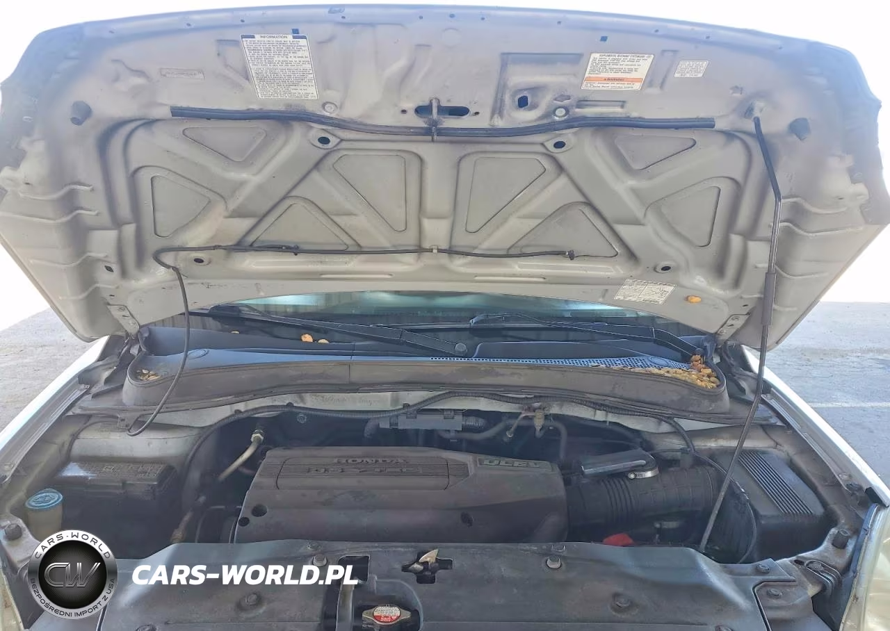 2003 Honda Pilot Exl VIN:2HKYF18683H606699 - 12