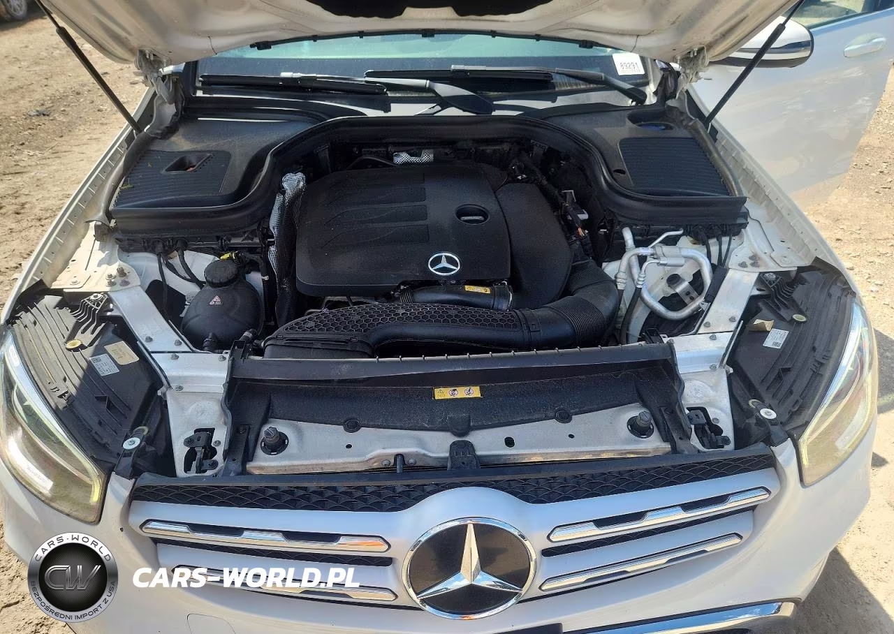 2020 Mercedes-Benz Glc 300 VIN:WDC0G8DB1LF736687 - 12