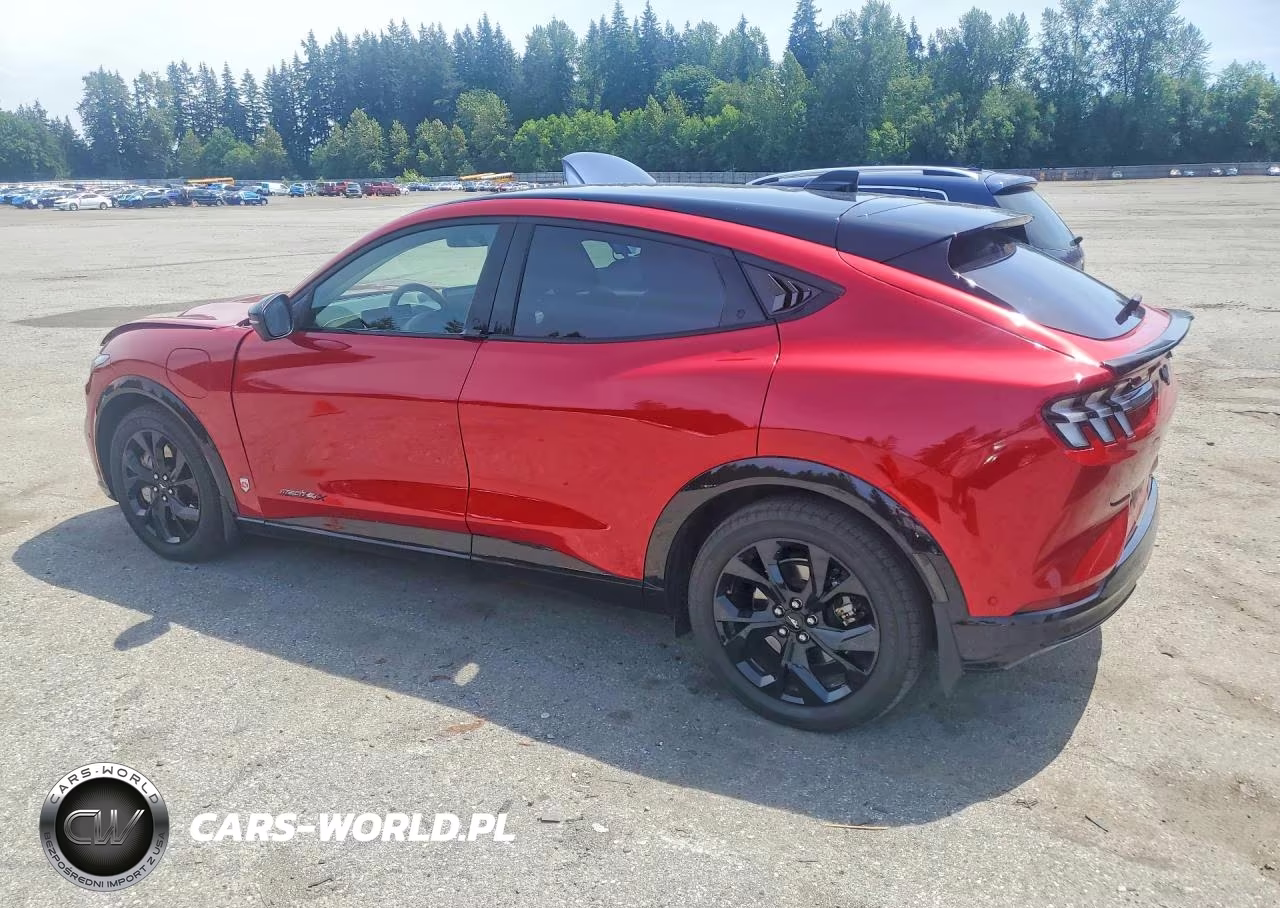 2023 Ford Mustang Mach-E Premium VIN:3FMTK3SU7PMA70915 - 2