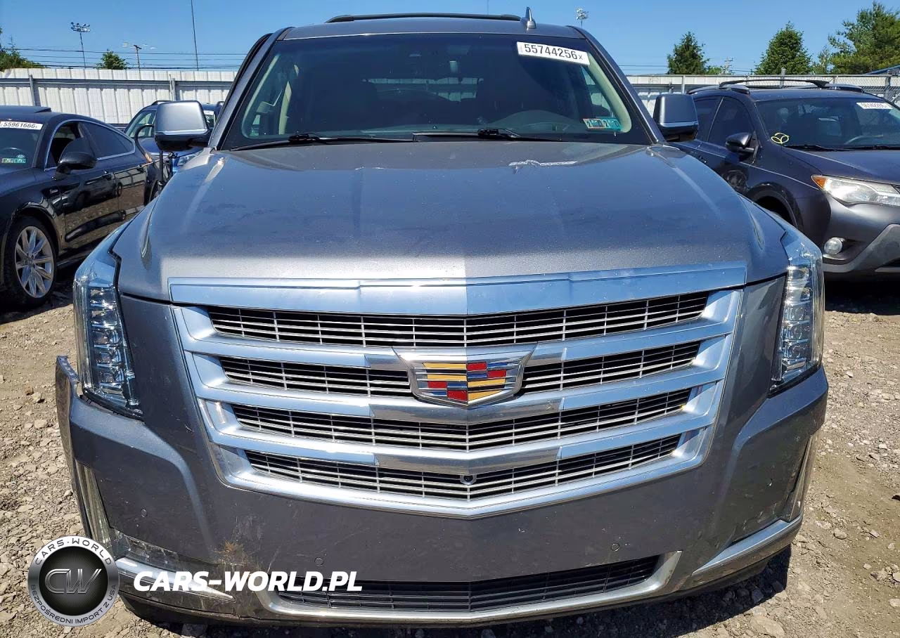 2020 Cadillac Escalade Luxury VIN:1GYS4BKJ2LR126871 - 5