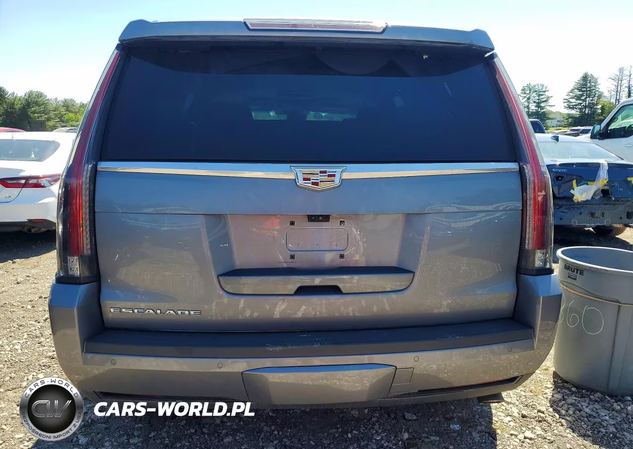 2020 Cadillac Escalade Luxury VIN:1GYS4BKJ2LR126871 - 6