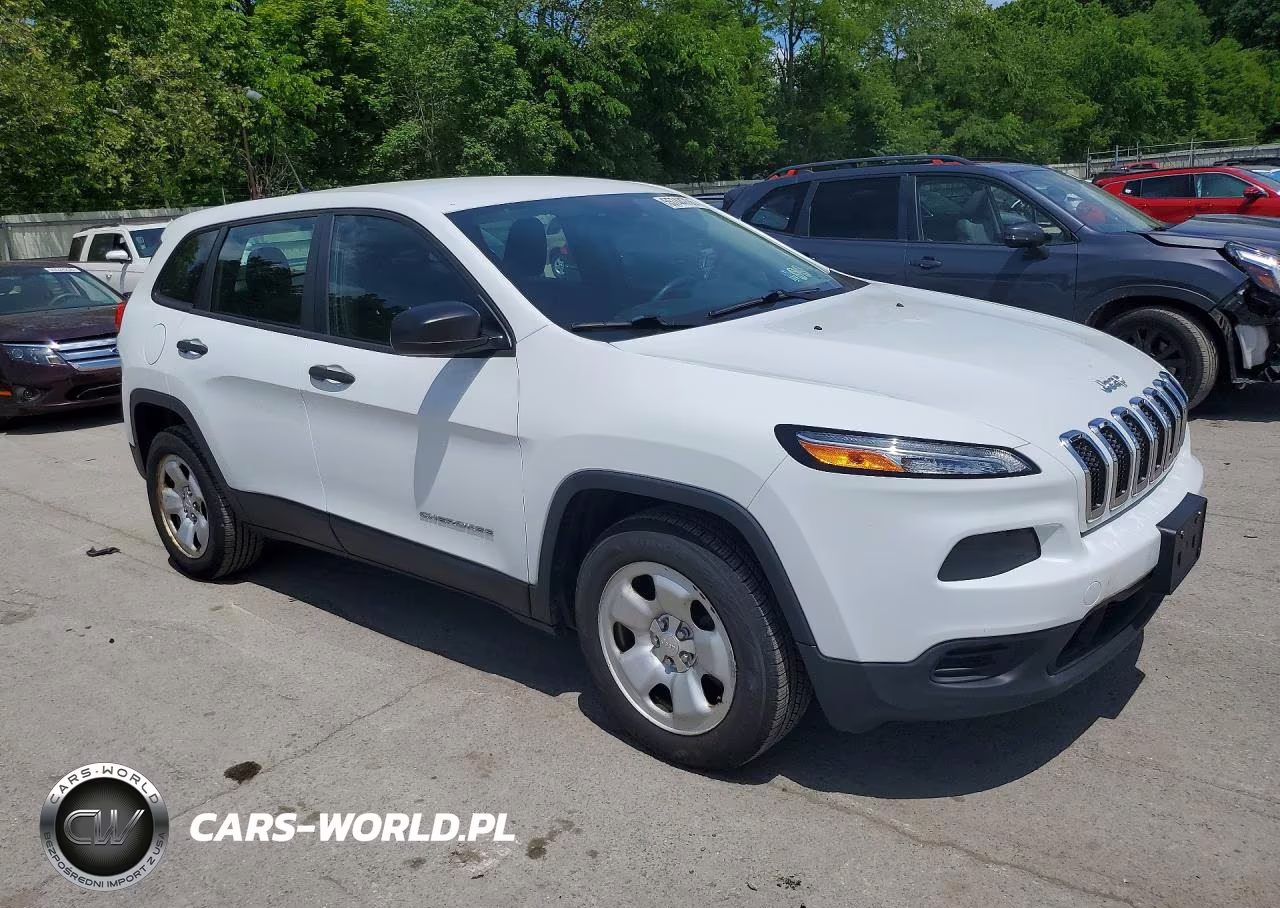 2014 Jeep Cherokee Sport VIN:1C4PJLAB5EW318715 - 4
