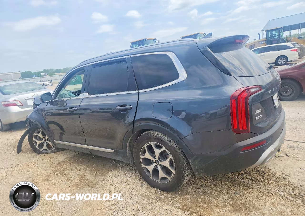 2020 Kia Telluride Ex VIN:5XYP3DHC7LG003178 - 2