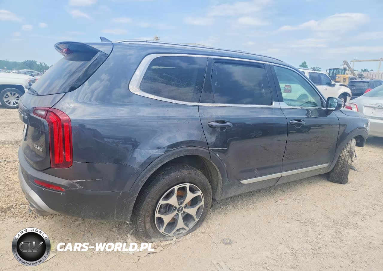 2020 Kia Telluride Ex VIN:5XYP3DHC7LG003178 - 3
