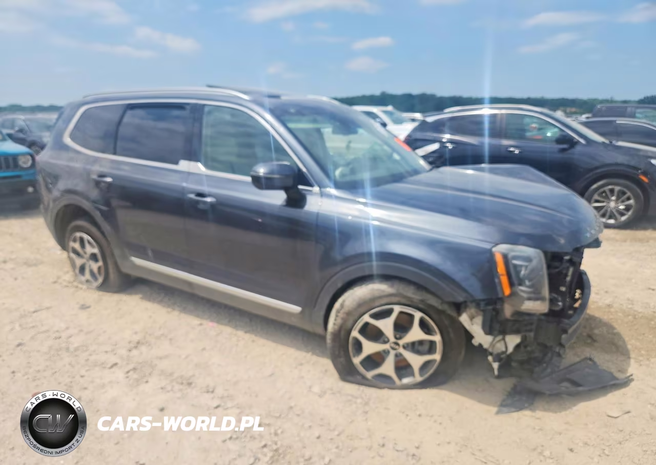 2020 Kia Telluride Ex VIN:5XYP3DHC7LG003178 - 4