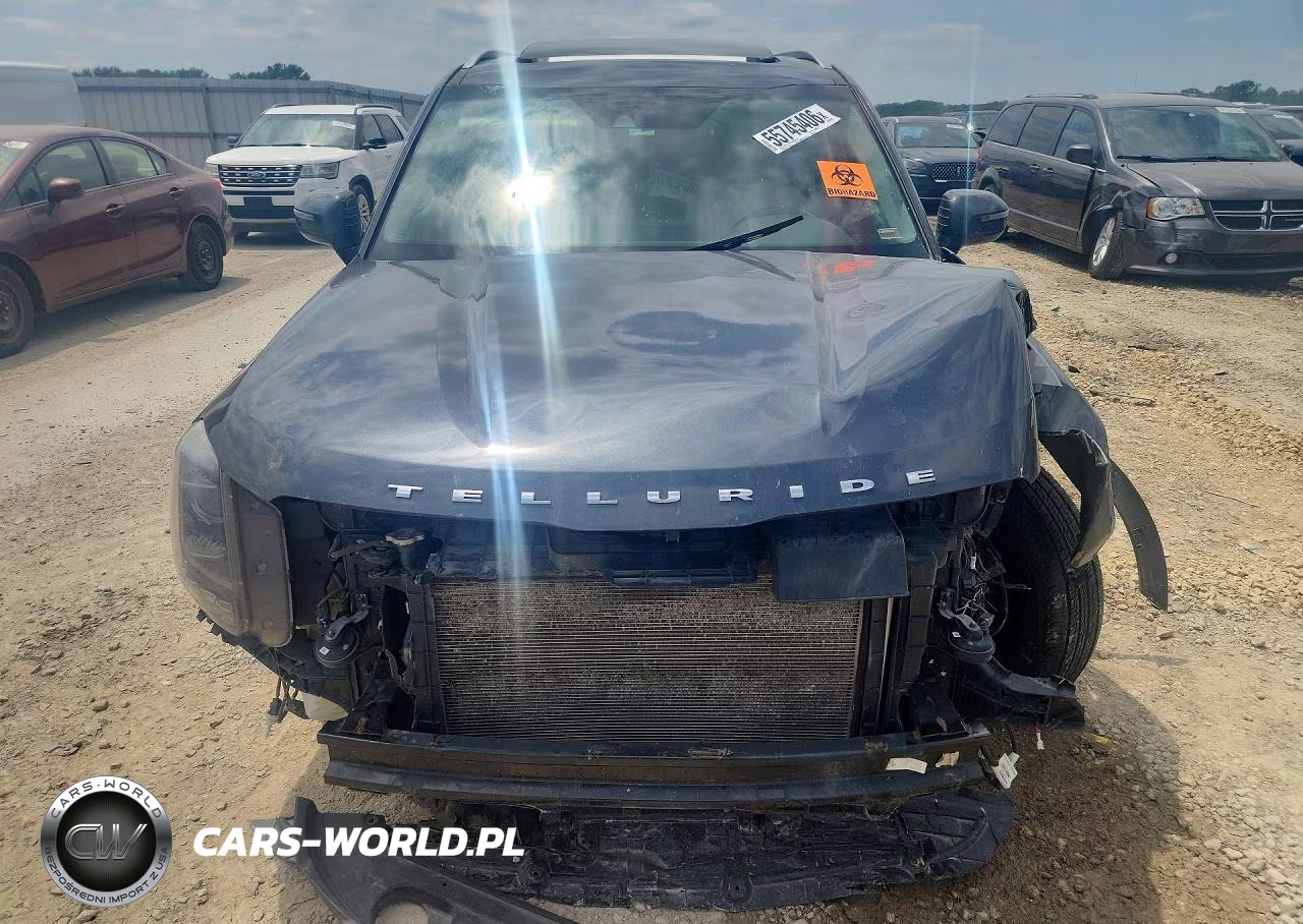 2020 Kia Telluride Ex VIN:5XYP3DHC7LG003178 - 5