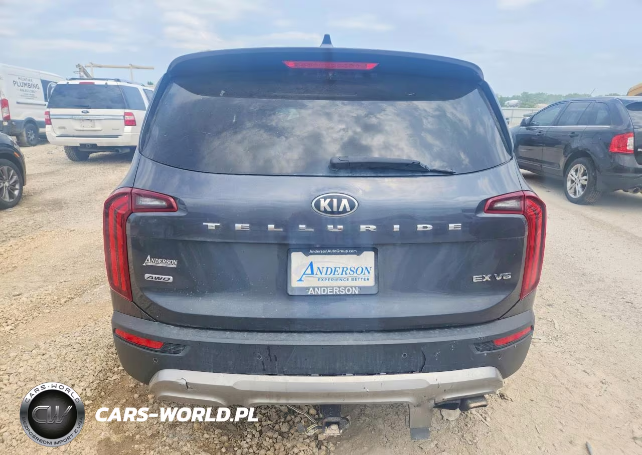 2020 Kia Telluride Ex VIN:5XYP3DHC7LG003178 - 6