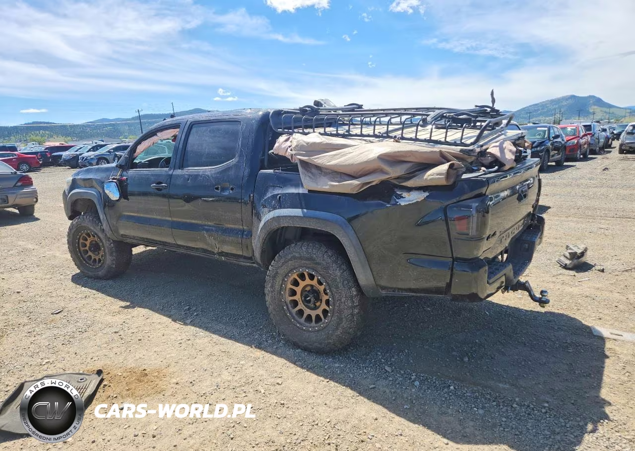 2019 Toyota Tacoma Trd Pro VIN:5TFCZ5AN4KX200397 - 2