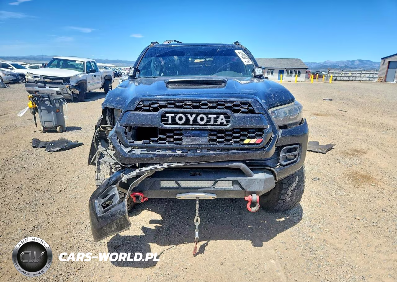 2019 Toyota Tacoma Trd Pro VIN:5TFCZ5AN4KX200397 - 5