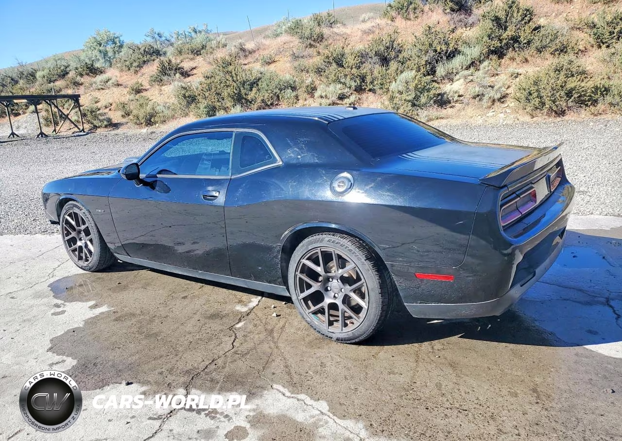 2016 Dodge Challenger R VIN:2C3CDZBT9GH276068 - 2