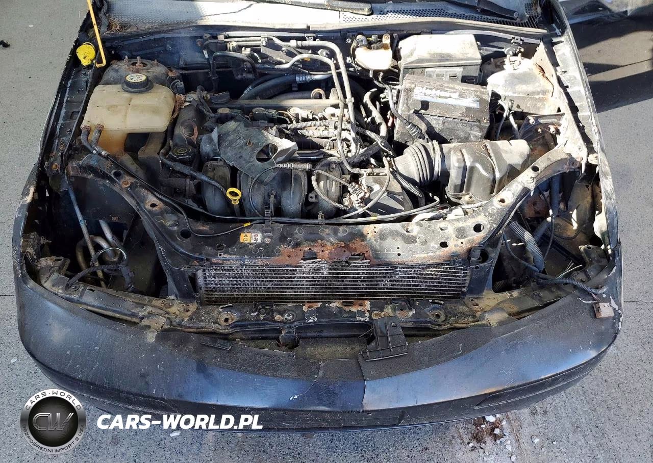 2007 Ford Focus VIN:1FAHP34NX7W134016 - 11