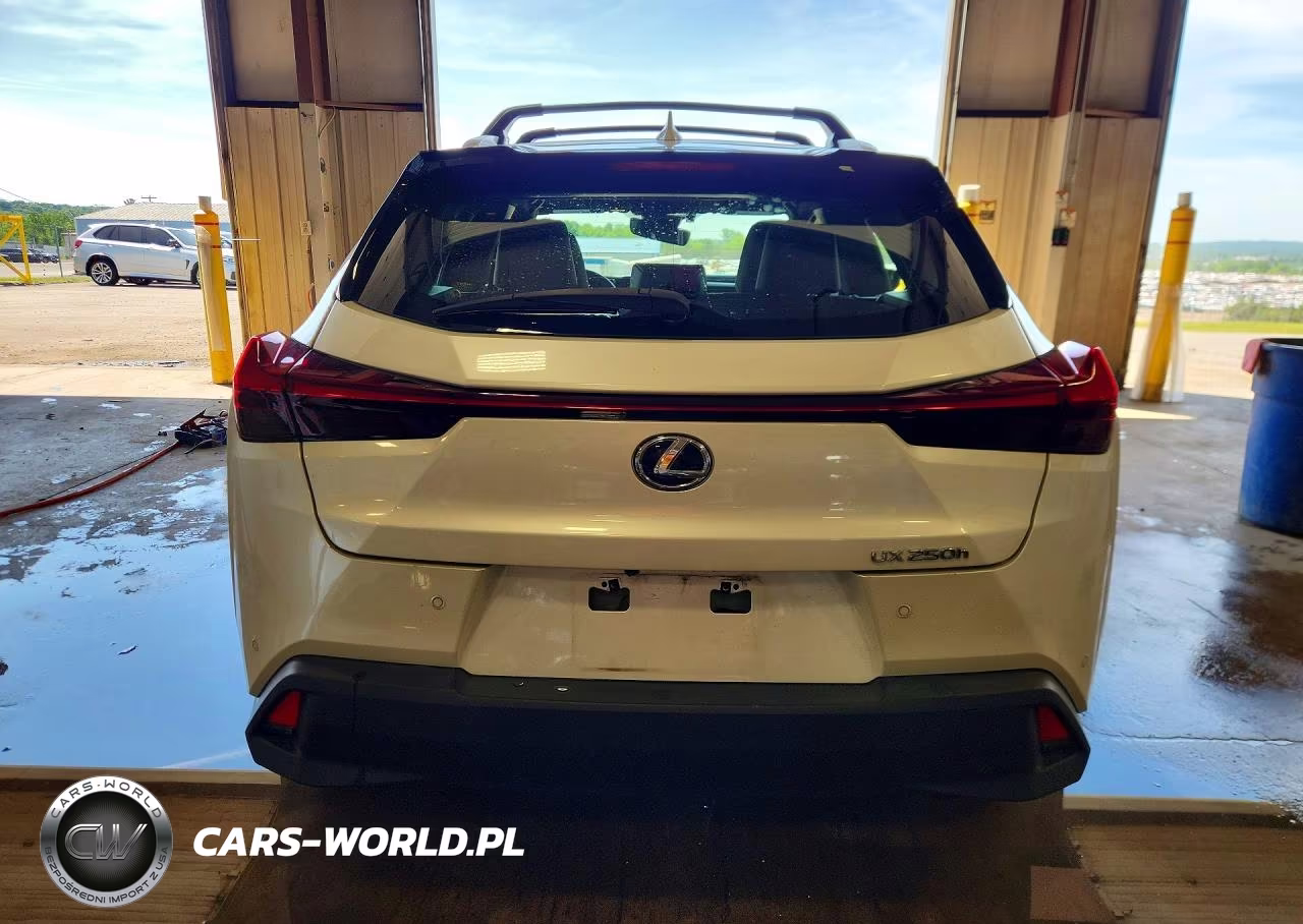 2022 Lexus Ux 250H Base VIN:JTHP9JBH5N2062629 - 6