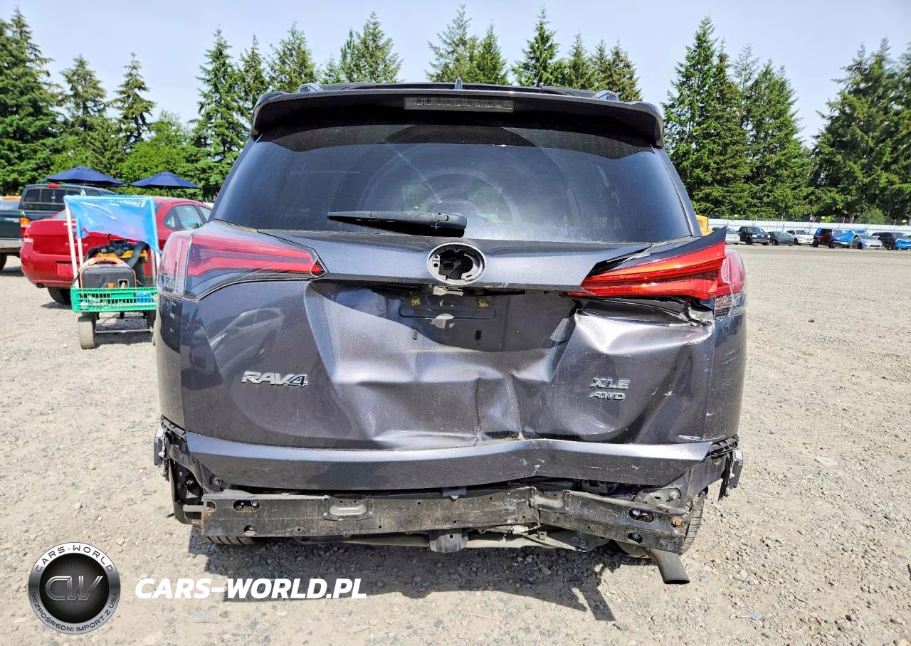 2017 Toyota Rav4 Xle VIN:2T3RFREV2HW684166 - 6