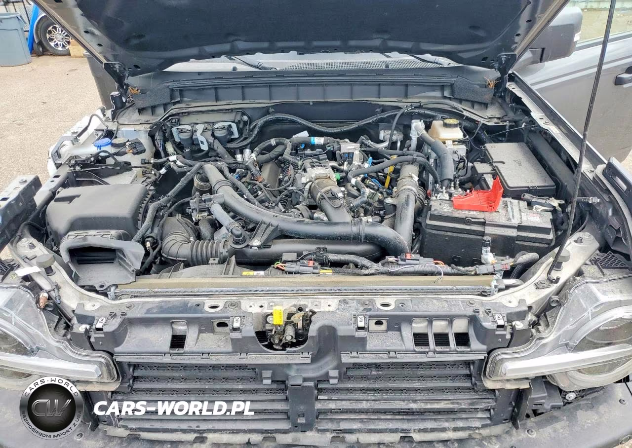 2024 Ford Bronco Wildtrak VIN:1FMEE2BP4RLA33815 - 12