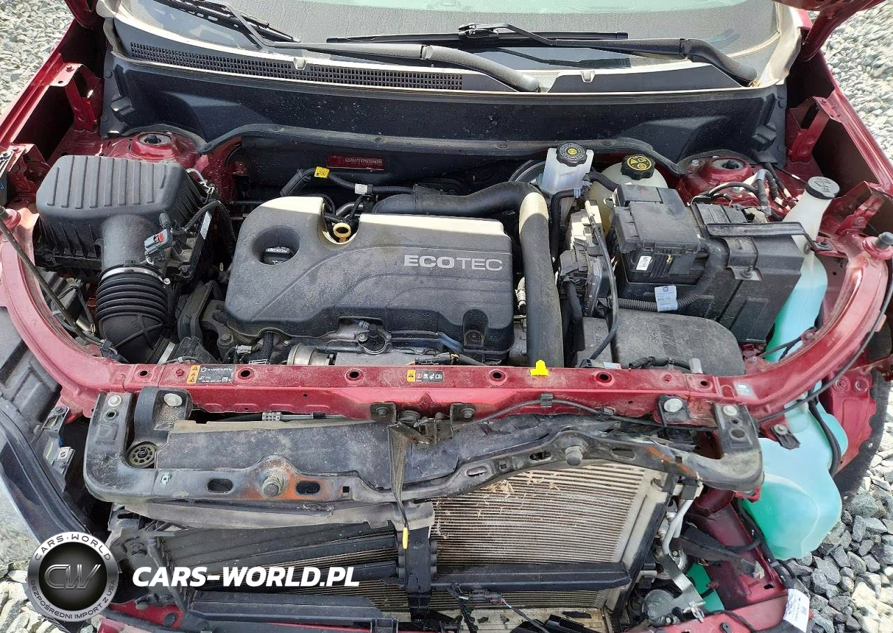 2019 Chevrolet Equinox Lt VIN:2GNAXTEV2K6266630 - 11
