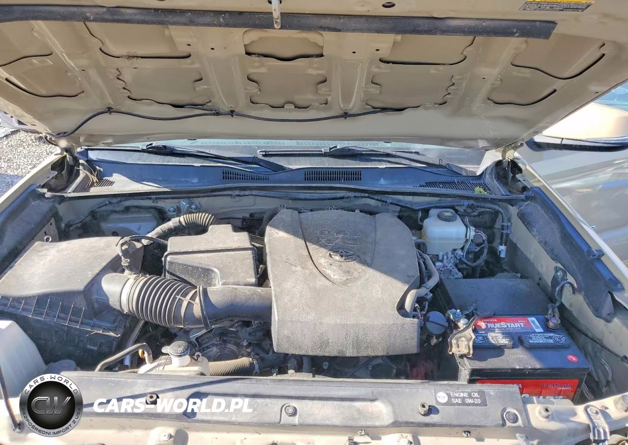 2019 Toyota Tacoma Trd Off-Road VIN:3TMCZ5ANXKM272792 - 11