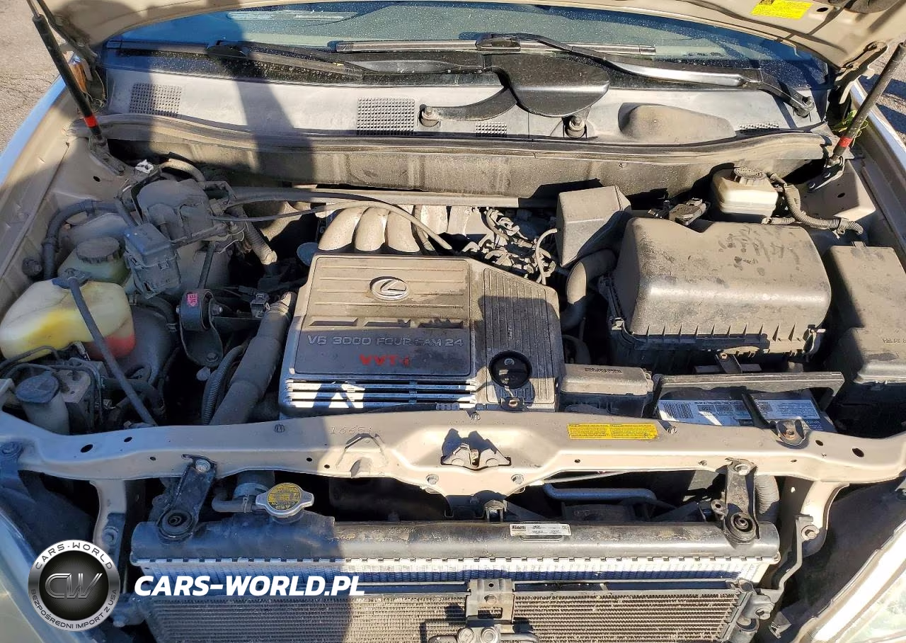 2003 Lexus Rx 300 VIN:JTJHF10U730302624 - 12