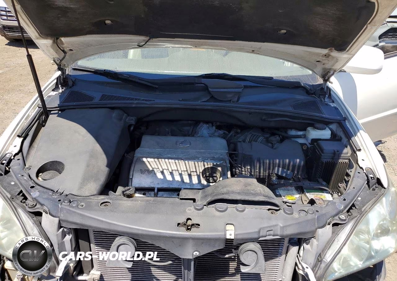 2004 Lexus Rx 330 VIN:2T2HA31U84C028641 - 12