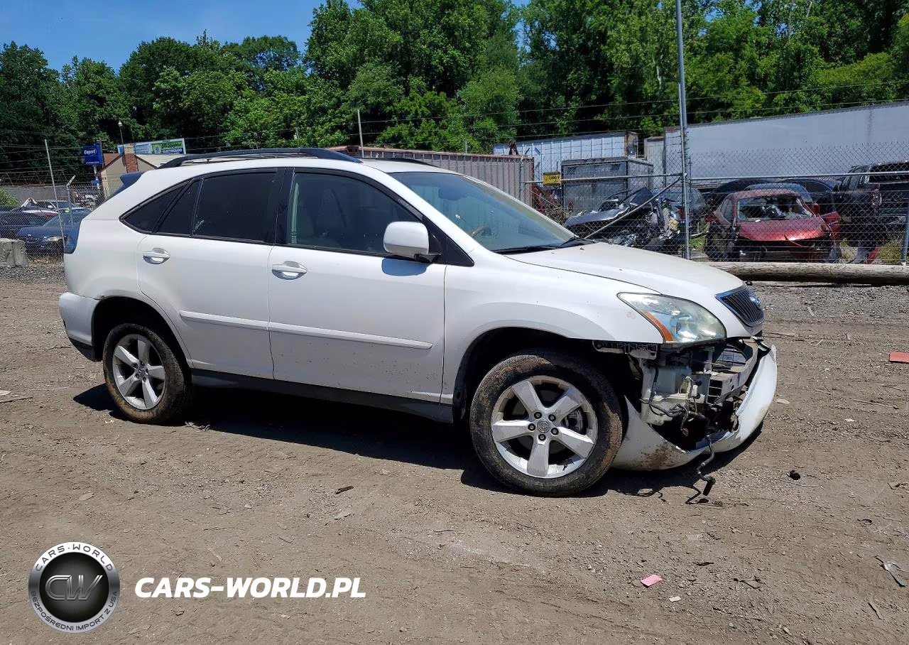2004 Lexus Rx 330 VIN:2T2HA31U84C028641 - 4