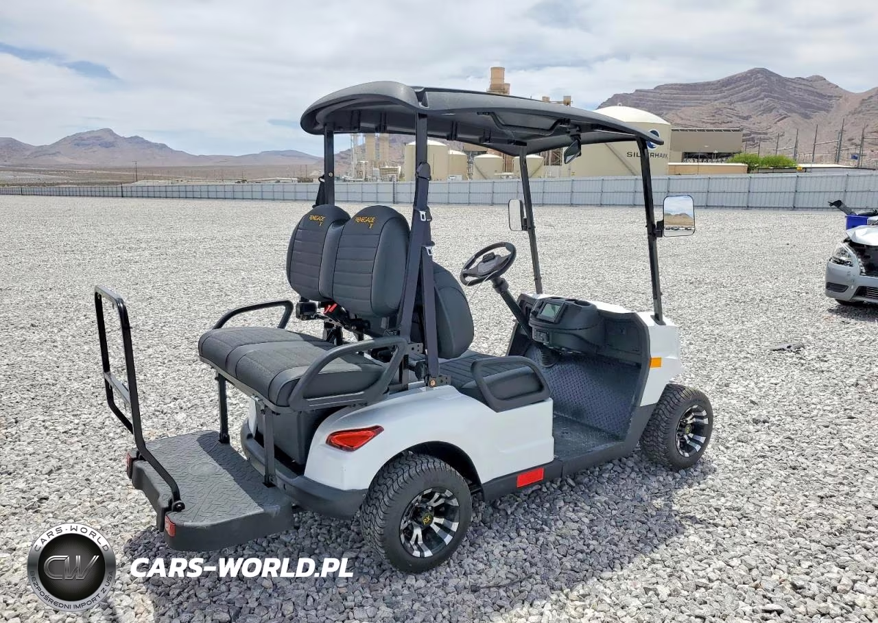 2025 Renegade Golf Cart VIN:H2EBRAAA2RB060049 - 4