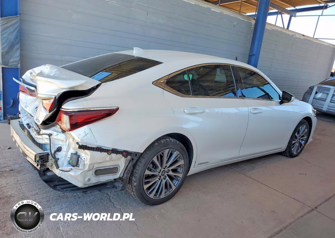 2020 Lexus Es 300H VIN:58AD21B11LU010609 - 3