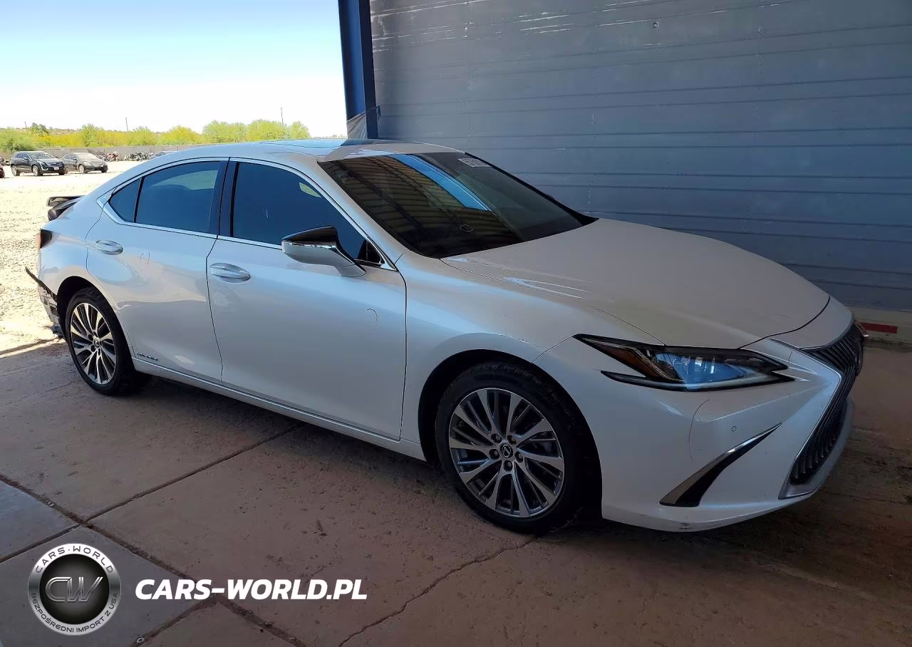 2020 Lexus Es 300H VIN:58AD21B11LU010609 - 4