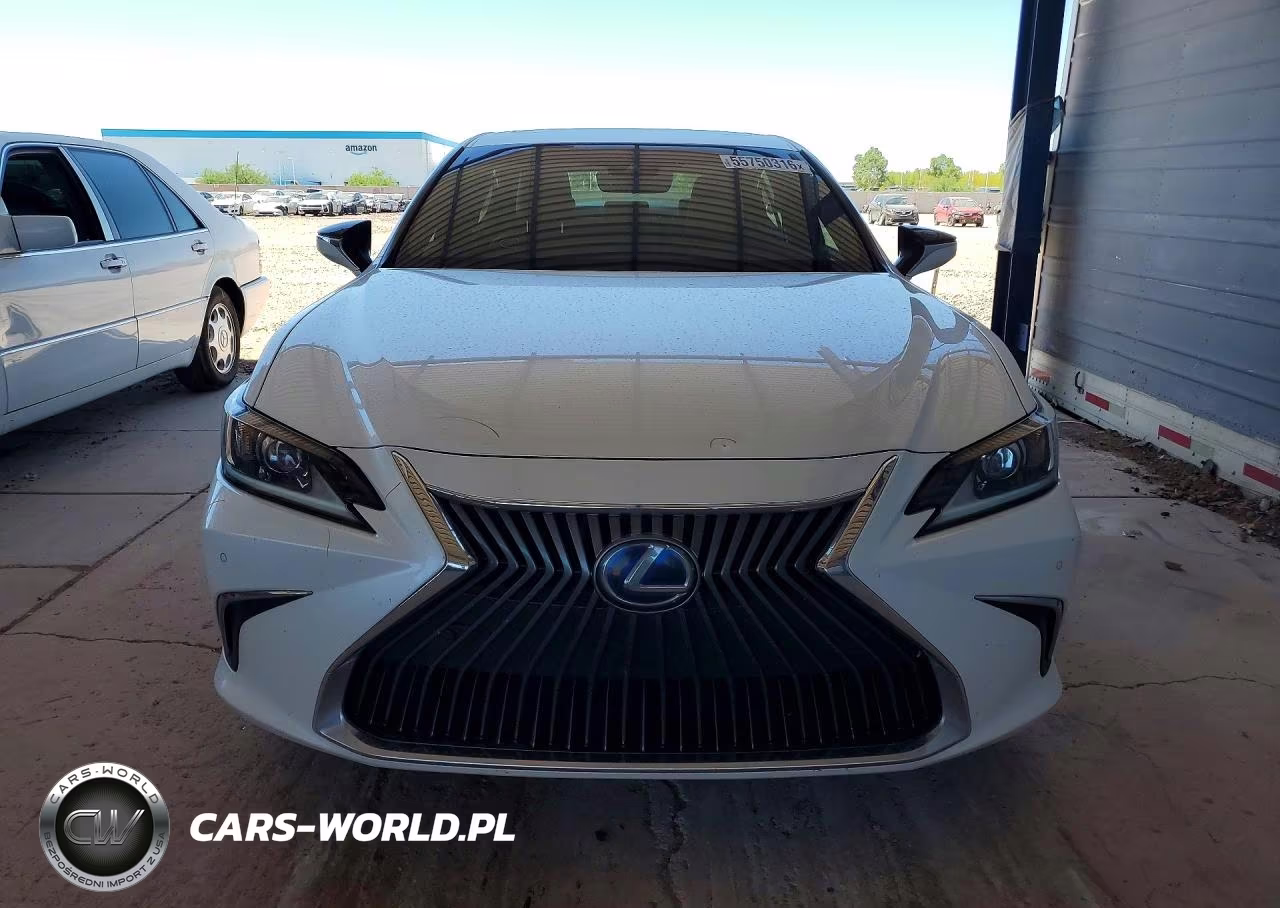 2020 Lexus Es 300H VIN:58AD21B11LU010609 - 5