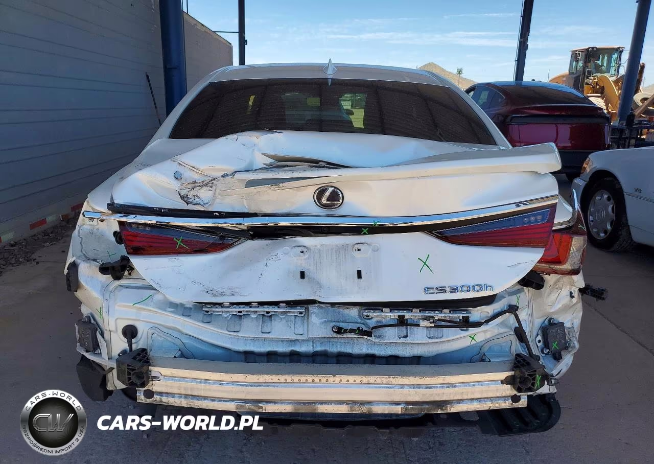2020 Lexus Es 300H VIN:58AD21B11LU010609 - 6
