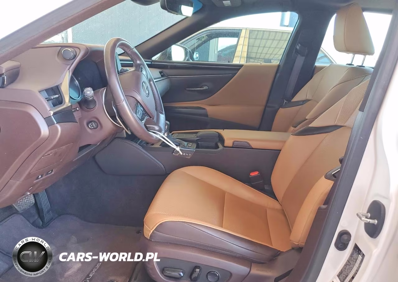 2020 Lexus Es 300H VIN:58AD21B11LU010609 - 7