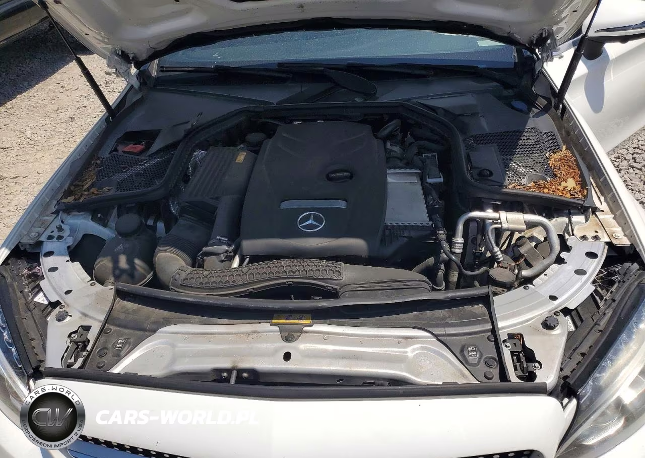 2017 Mercedes-Benz C 300 VIN:WDDWJ4JB3HF424513 - 11