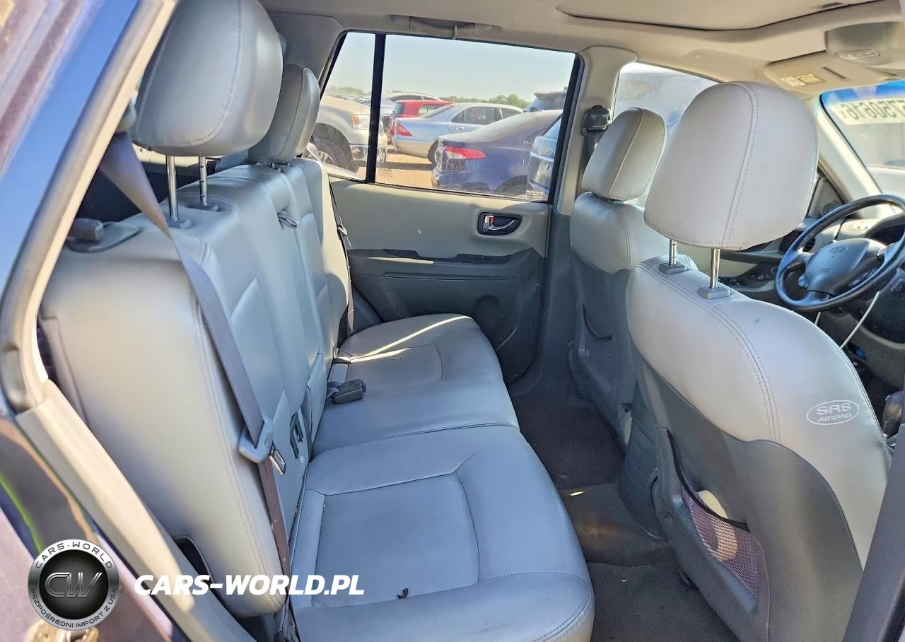 2006 Hyundai Santa Fe Gls VIN:KM8SC13E96U069067 - 10
